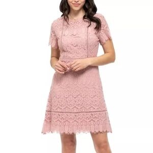 August Sky Lace Dress in Dusty Pink